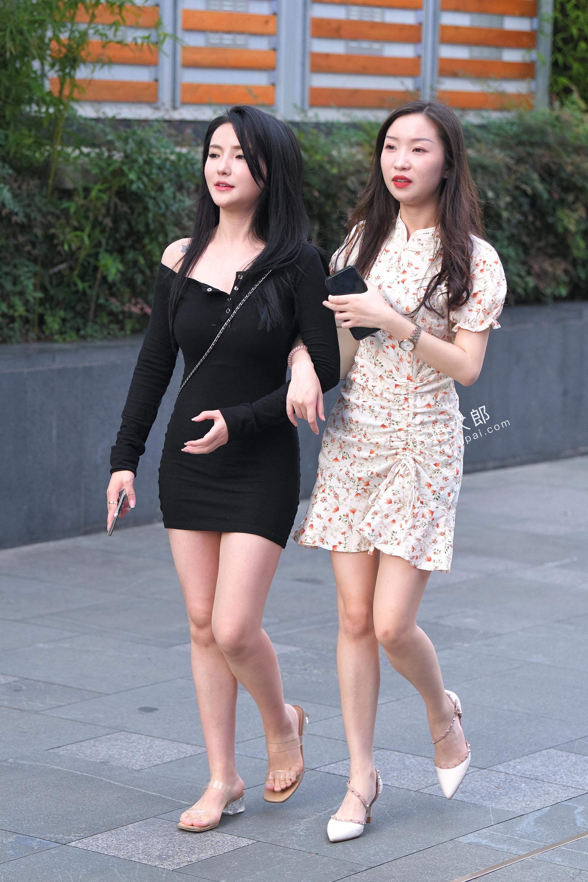DSC_8195.JPG